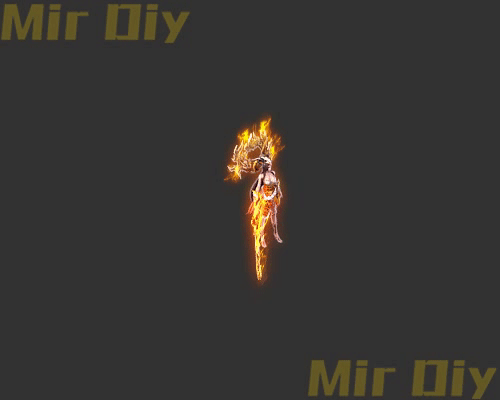 宠物伙伴0362
