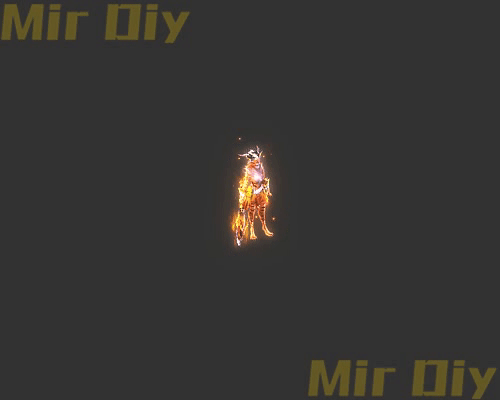 宠物伙伴0376
