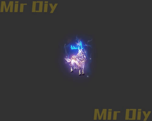 宠物伙伴0379
