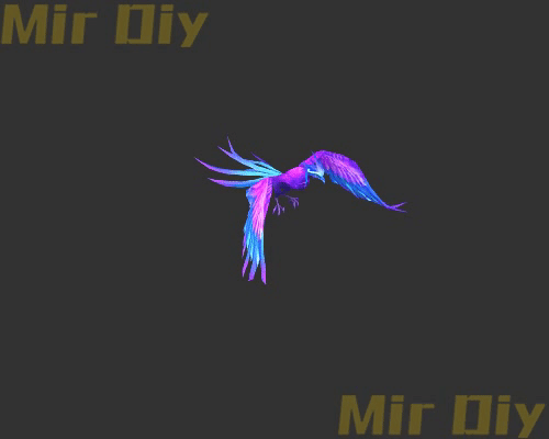 宠物伙伴0380
