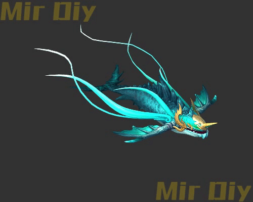 宠物伙伴0389
