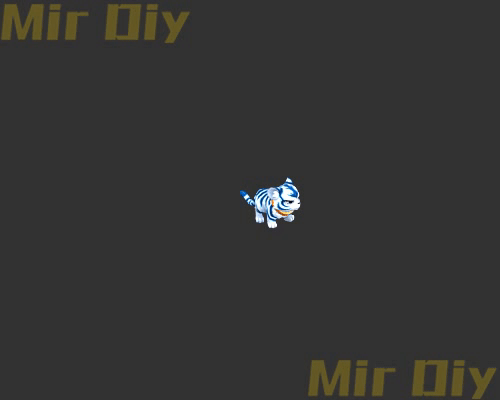 宠物伙伴0394
